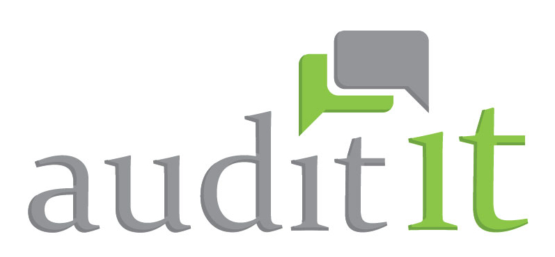 Audit IT logo
